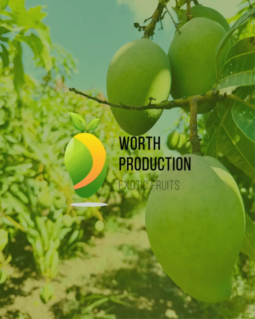 Worth Production, Exotic Fruits